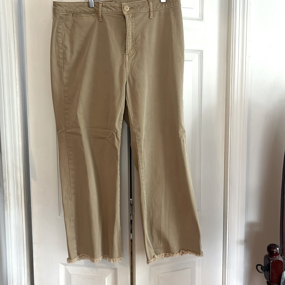 Sanctuary tan pants